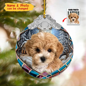 Custom Photo Pets Globe Ball - Personalized Photo Ornament