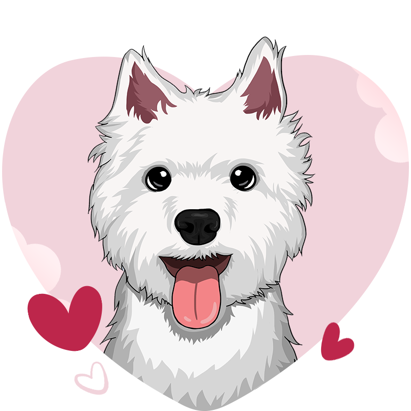 Gifts for Dog lovers