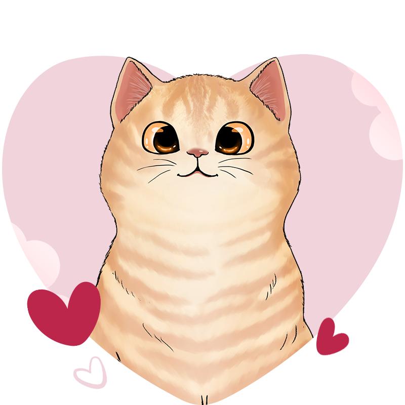 Gifts for Cat lovers