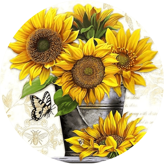 Shop By Sunflower