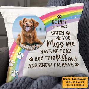 Gift For Loss Beloved Pet Hug This Pillow