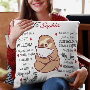 I Hugged This Soft Pillow-Sloth