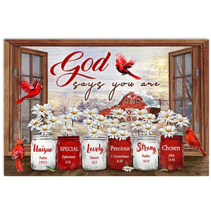 Cardinal God Says You Are Horizontal Poster